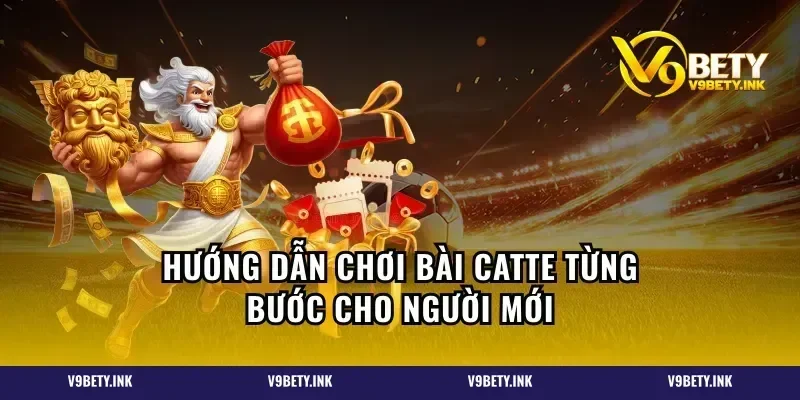 Hướng dẫn chơi bài catte từng bước cho người mới
