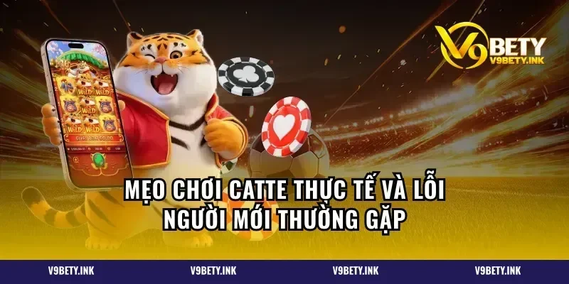 Mẹo chơi Catte thực tế và lỗi người mới thường gặp