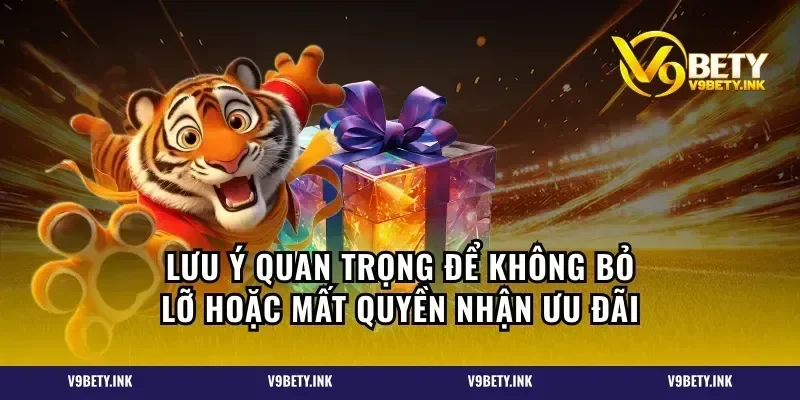 Lưu ý quan trọng để không bỏ lỡ hoặc mất quyền nhận ưu đãi