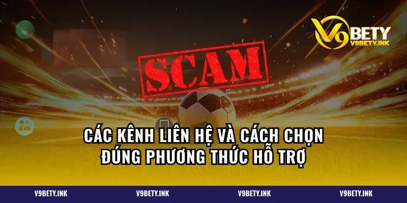 Các kênh liên hệ và cách chọn đúng phương thức hỗ trợ